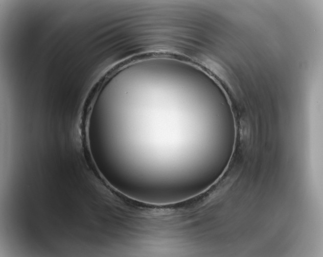 X0000089871068200707051148