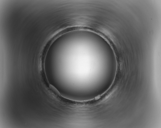X0000089871069200707051148