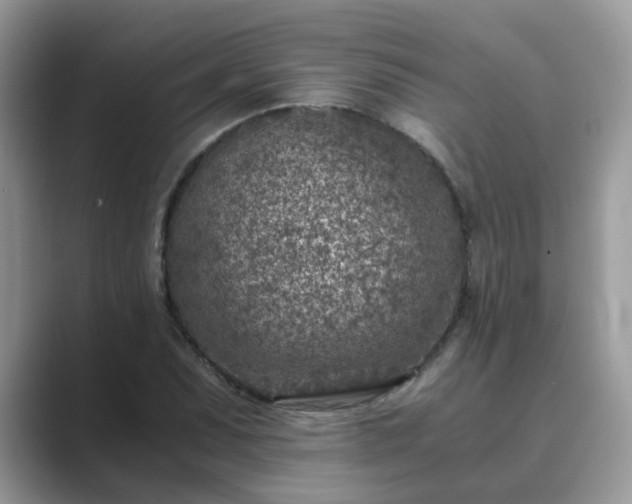 X0000089871071200707051147