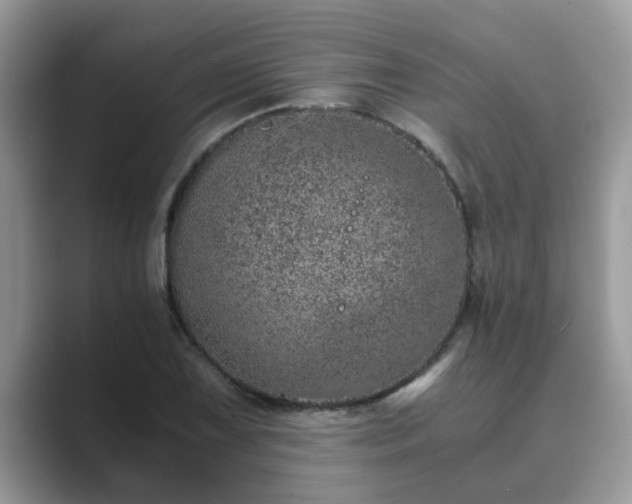 X0000089871075200707051147