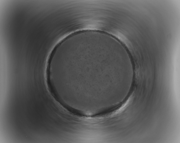 X0000089871077200707051147