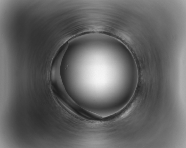 X0000089871081200707051147
