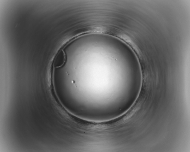 X0000089871083200707051147