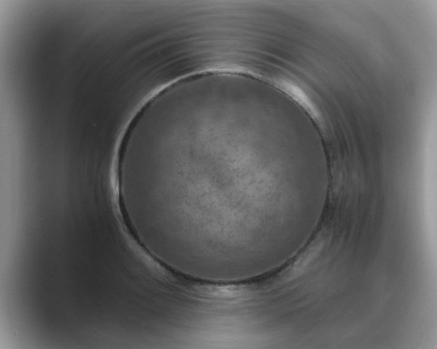 X0000089871084200707051147