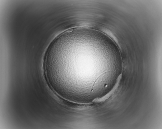 X0000089871091200707051147