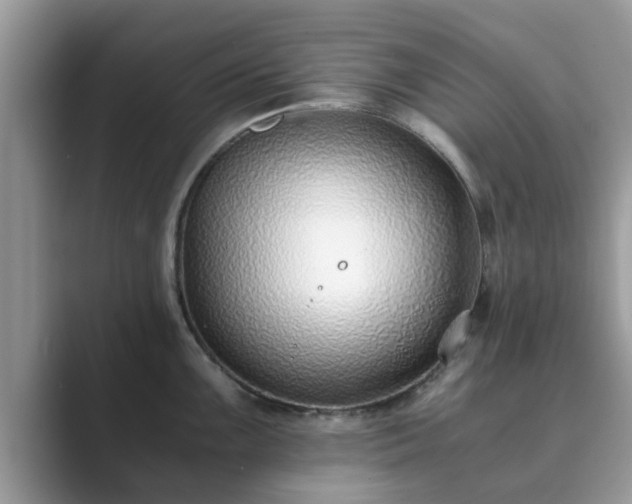X0000089871099200707051147