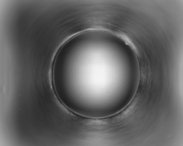 X0000089871100200707051147