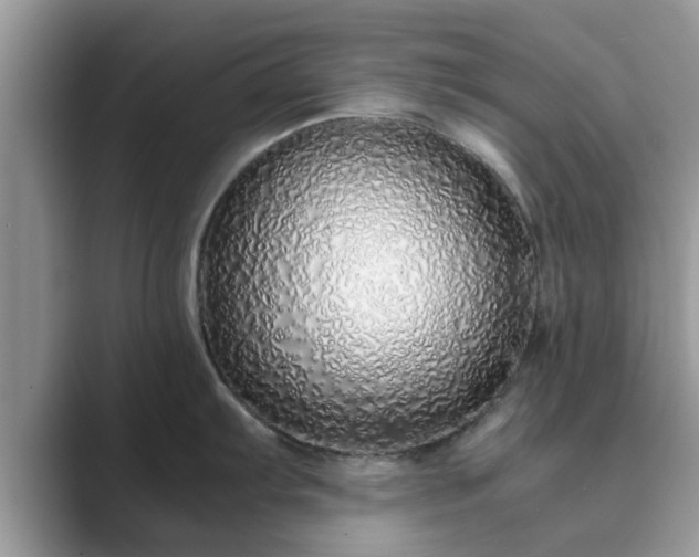 X0000089871103200707051147