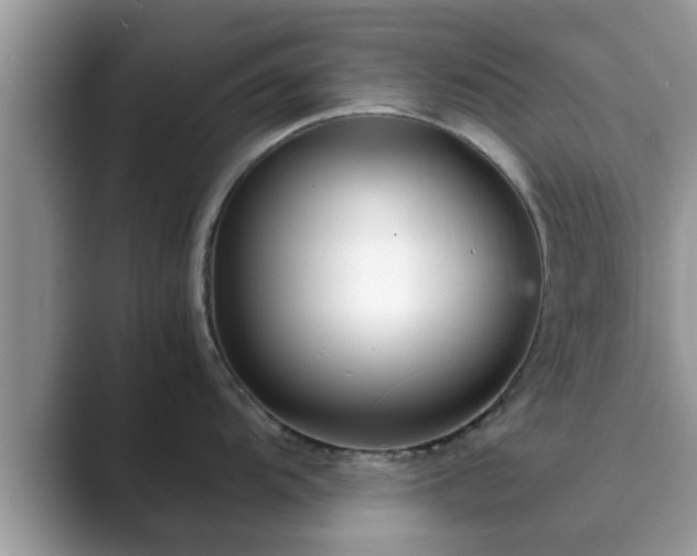 X0000089871104200707051147