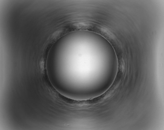 X0000089871108200707051147
