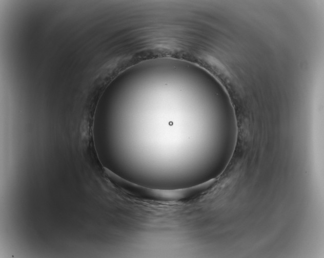 X0000089871110200707051147
