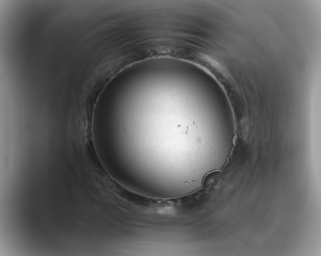 X0000089871111200707051147
