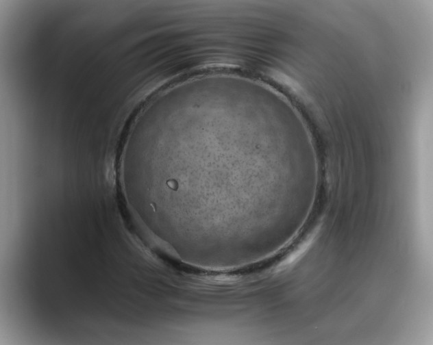 X0000089871113200707051147