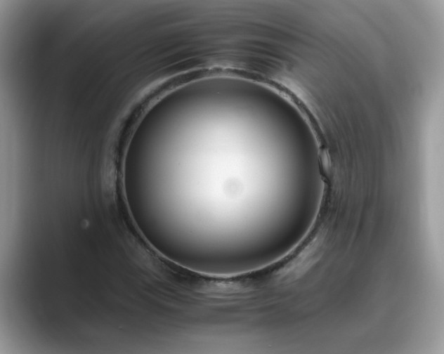 X0000089871115200707051147