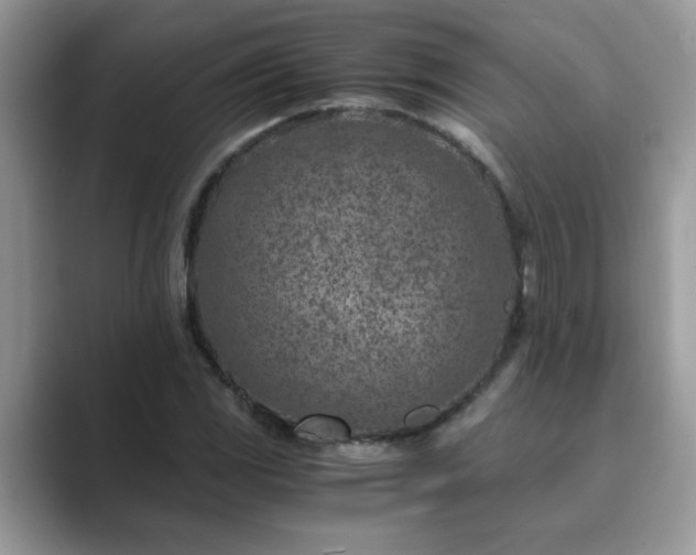 X0000089871117200707051147