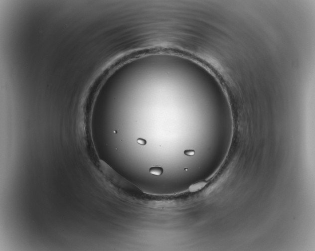 X0000089871118200707051147