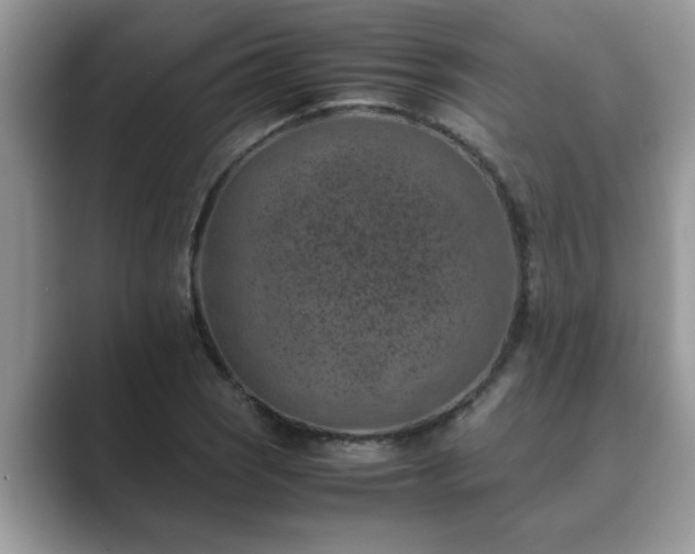 X0000089871121200707051147