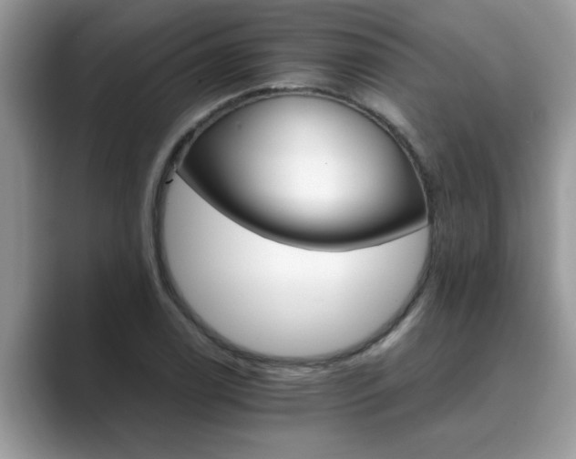 X0000089871122200707051147