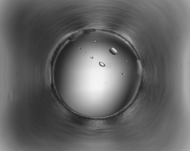 X0000089871123200707051147