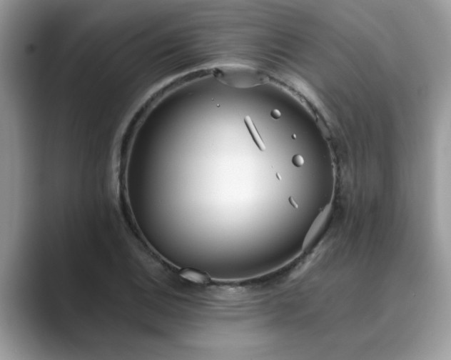 X0000089871124200707051147