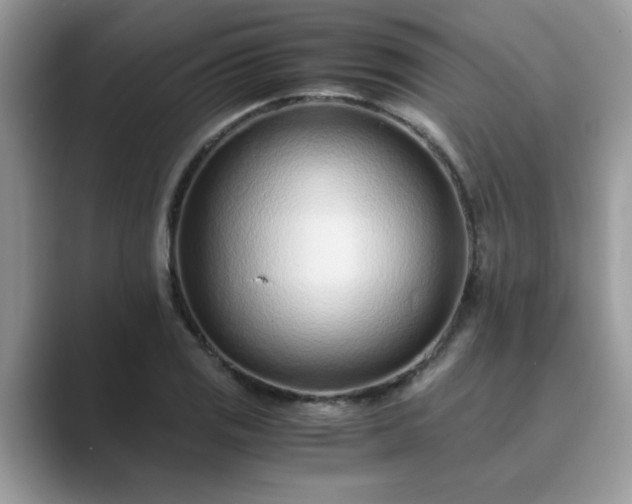 X0000089871125200707051147