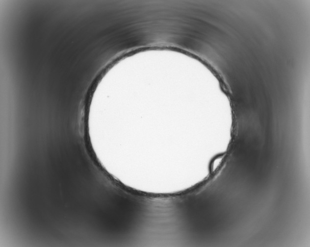 X0000089871126200707051147