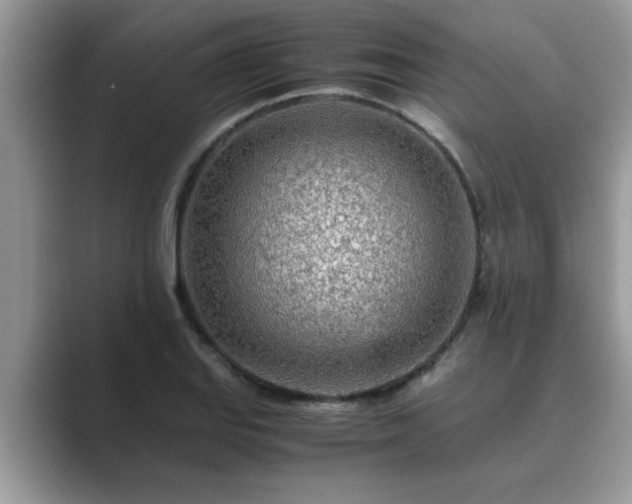 X0000089871127200707051147