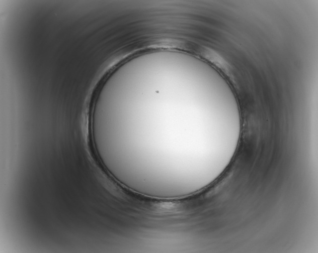 X0000089871130200707051147