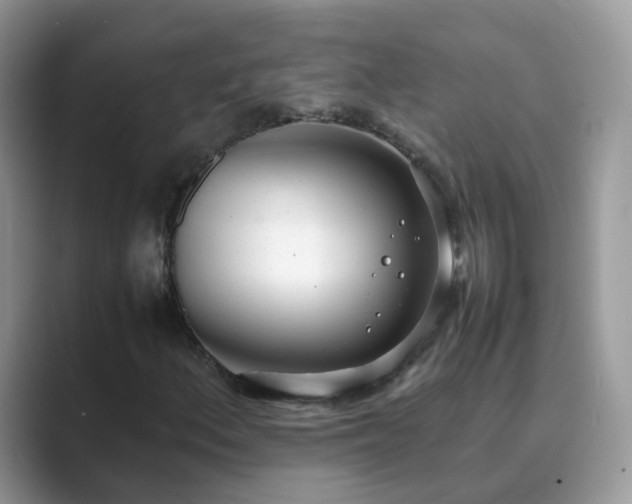 X0000089871156200707051146