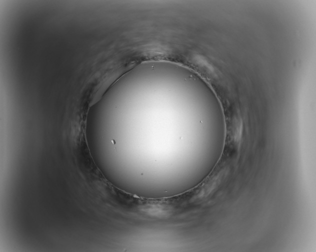 X0000089871157200707051146