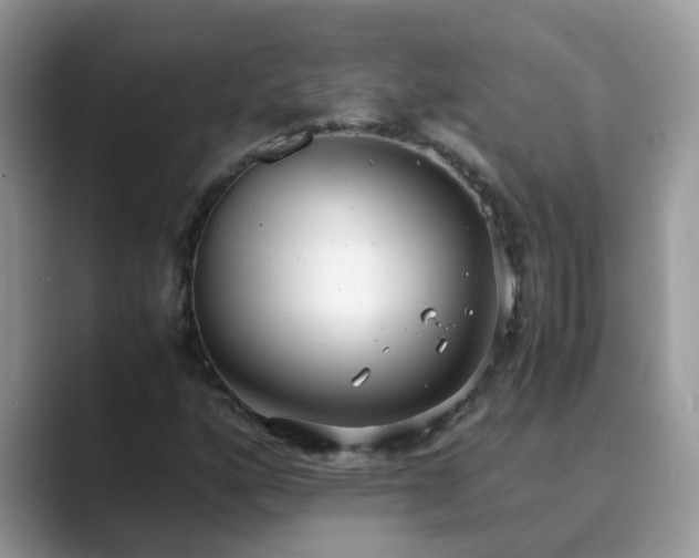X0000089871160200707051146