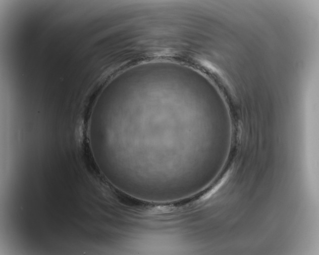 X0000089871161200707051146