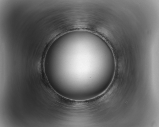 X0000089871162200707051146