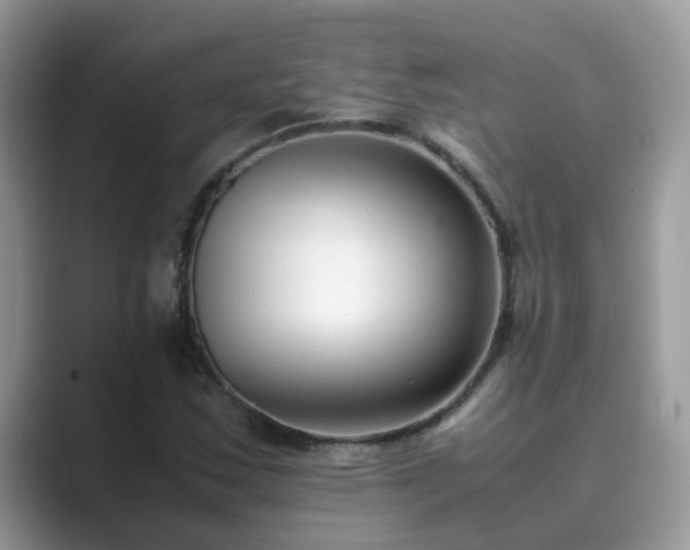 X0000089871163200707051146