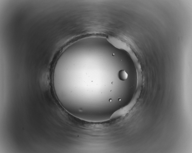 X0000089871164200707051146