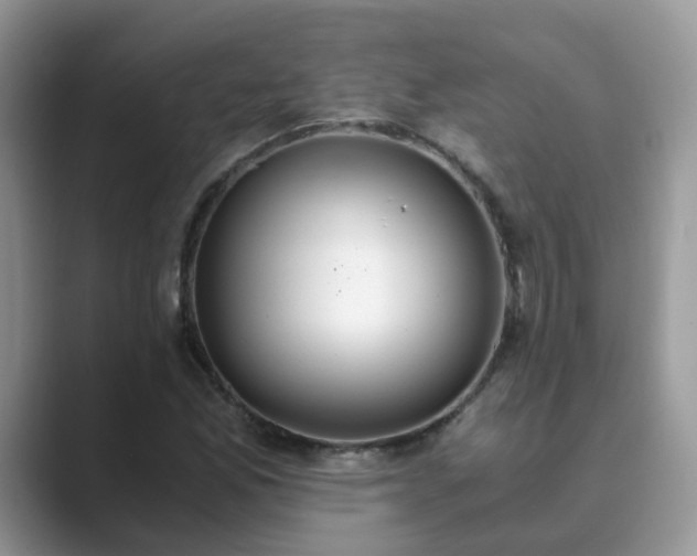X0000089871165200707051146