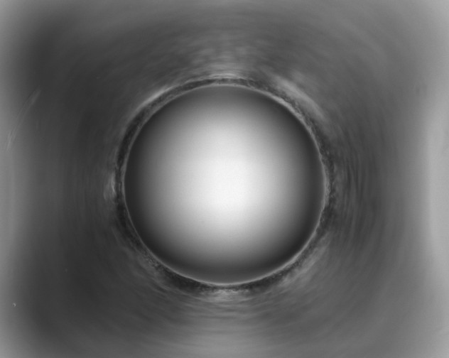 X0000089871166200707051146