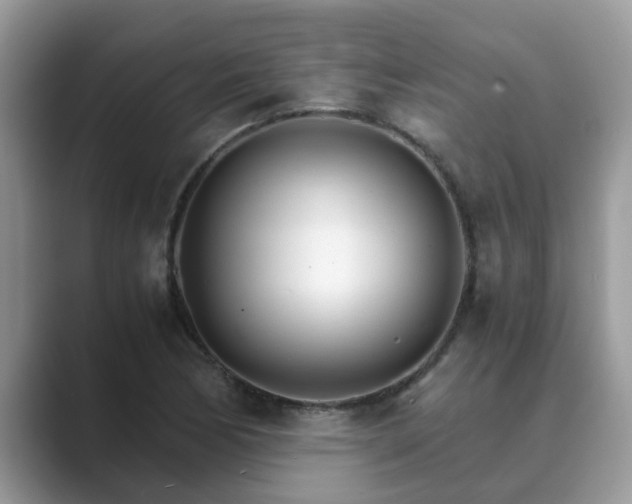 X0000089871170200707051146
