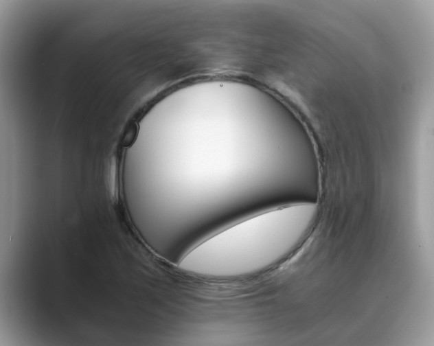 X0000089871171200707051146