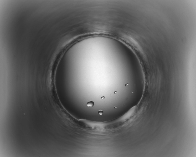 X0000089871172200707051146
