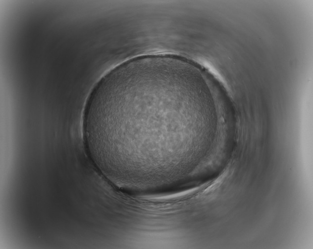 X0000089871173200707051146