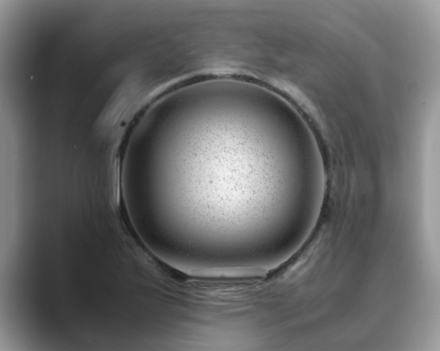 X0000089871175200707051146