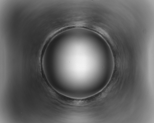 X0000089871176200707051146