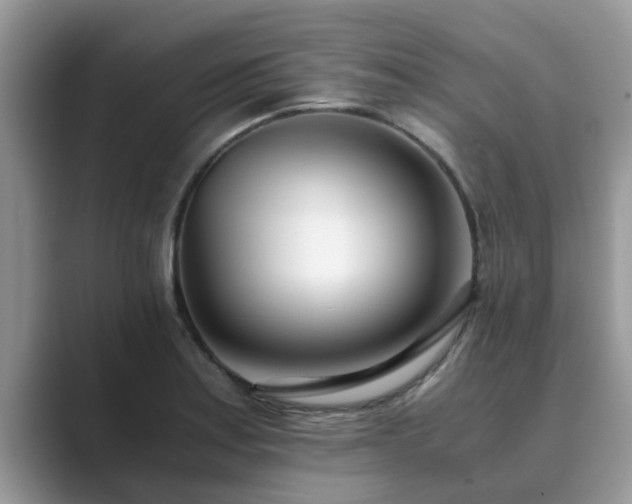 X0000089871179200707051146