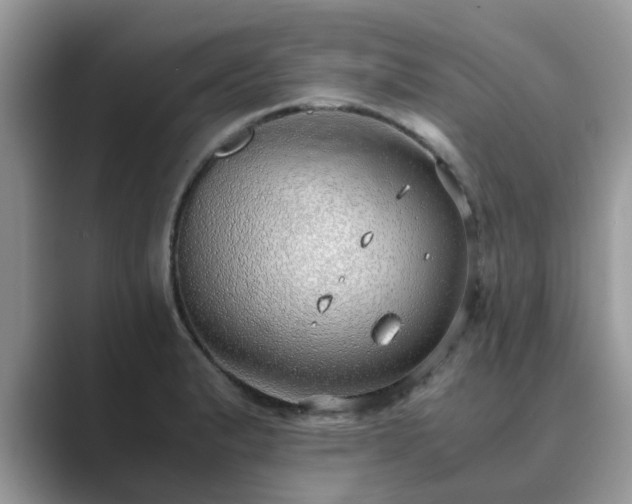 X0000089871183200707051146
