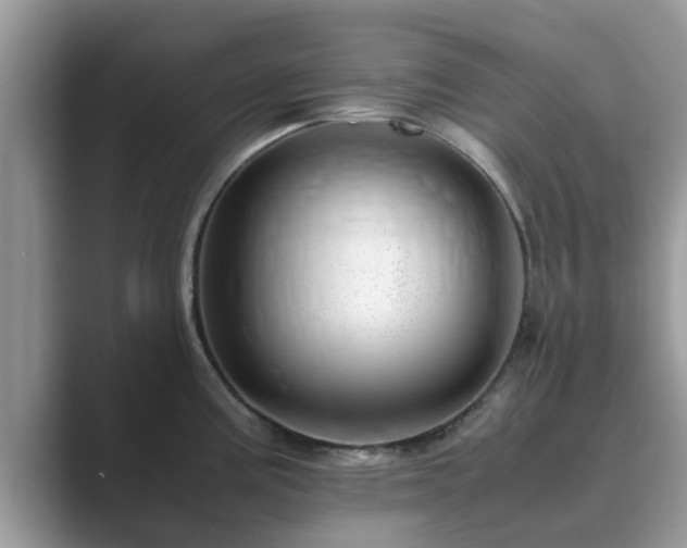 X0000089871195200707051146