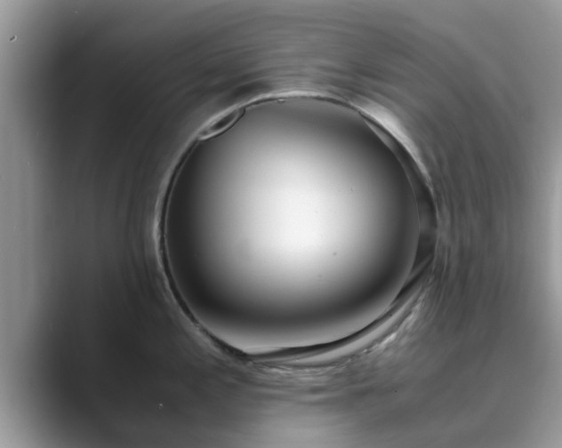 X0000089871197200707051146