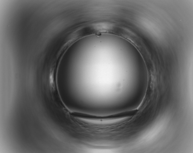 X0000089871198200707051146