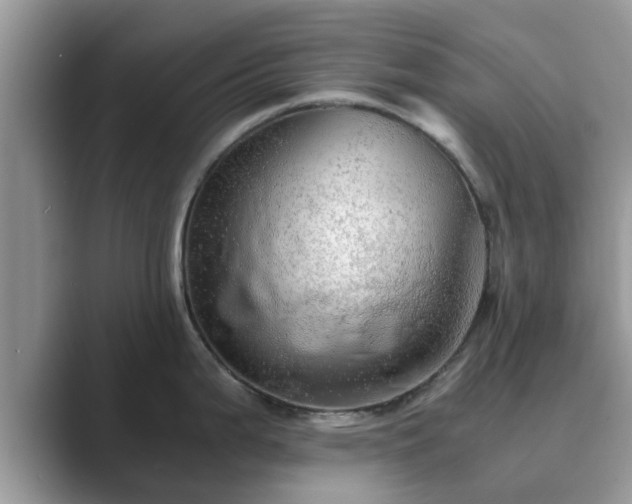 X0000089871199200707051146