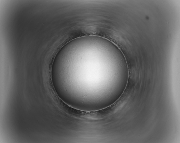 X0000089871201200707051145
